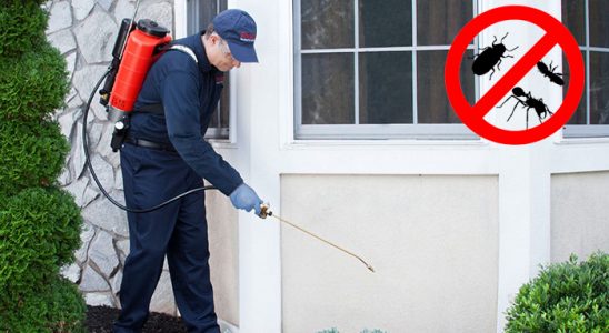 Kırşehir Kene İlaçlama böcek ilaçlama ve haşere kontrolü — ilaclama-tr.com